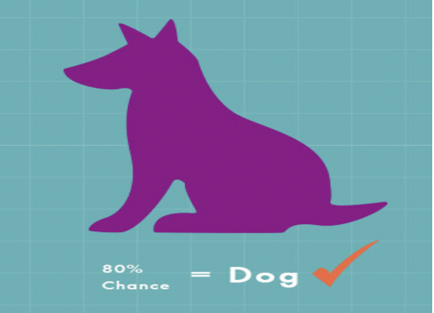 Unsupervised Classification